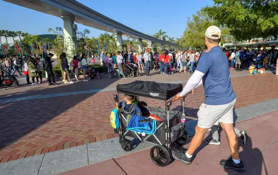 Can You Take a Wagon Strollers into Disney Land?